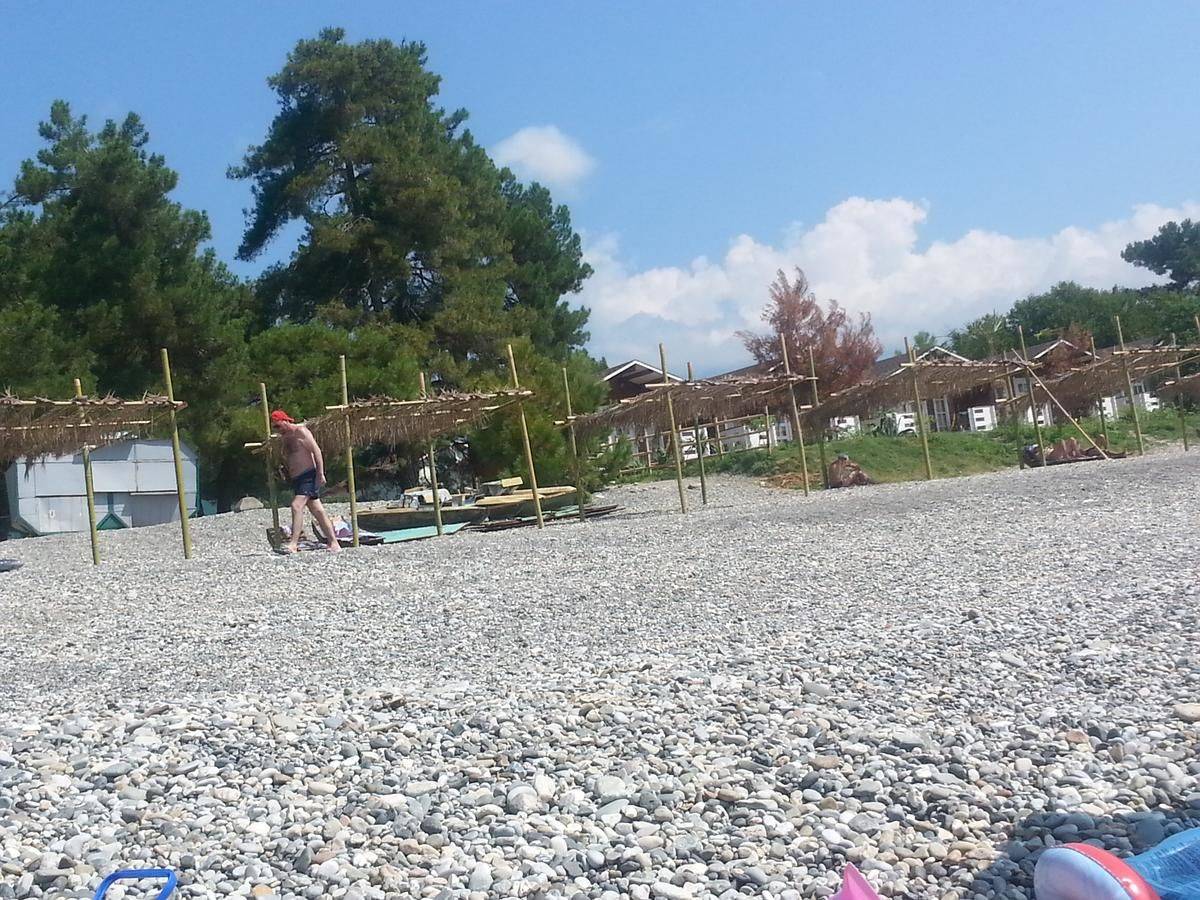 Фото Гостевого дома Гостевой дом Южная Пальмира Пицунда 17